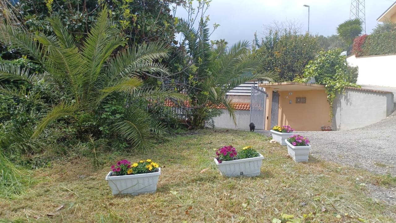 B&B Verena, Casa Ferrari 科隆内拉 外观 照片